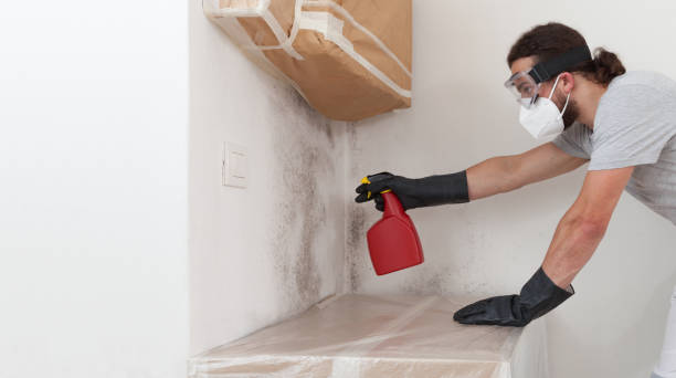 Professional Basement Mold Removal technician working in Hawthorne, NY